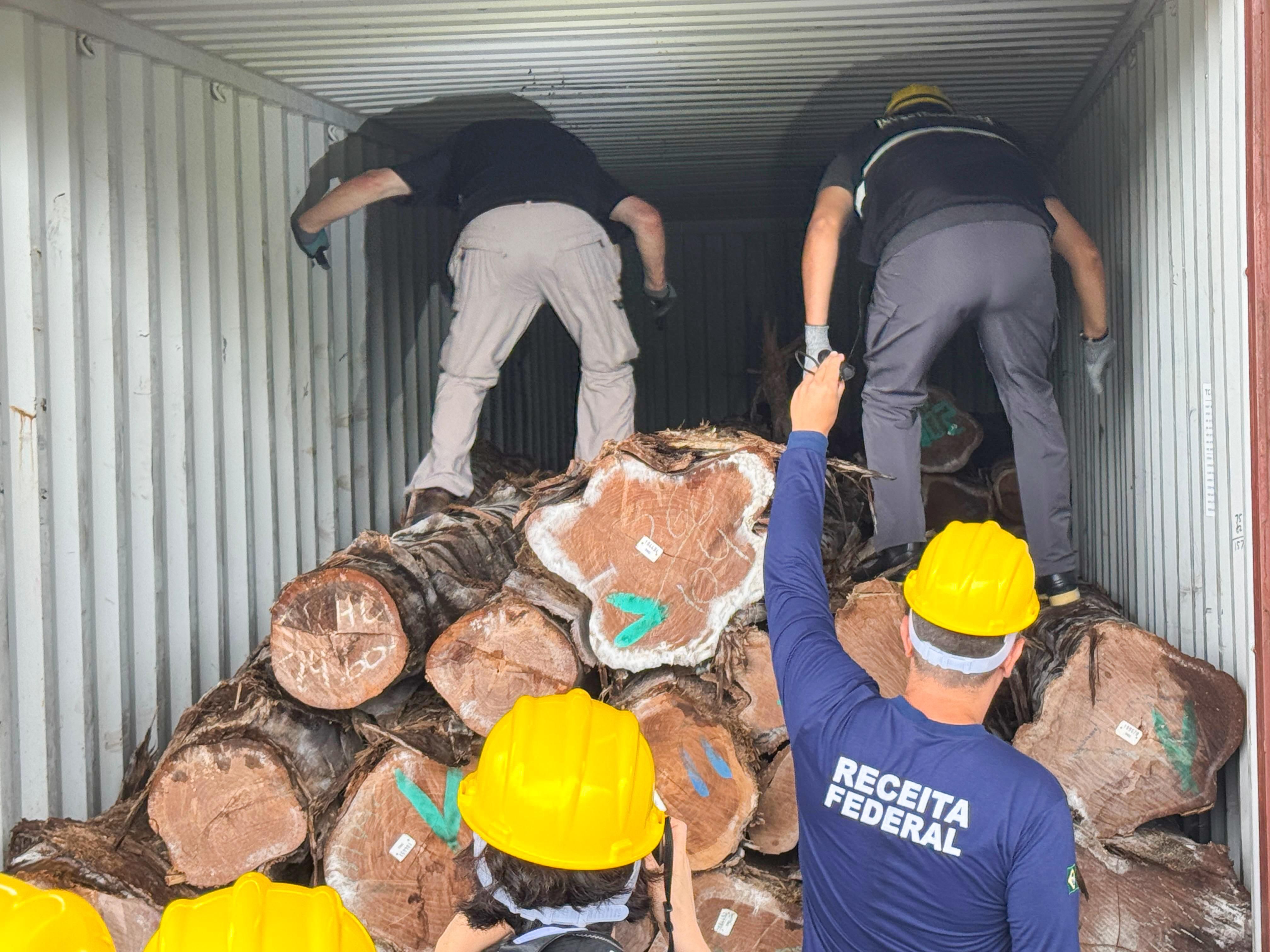 Buenaventura fortalece su lucha contra el tráfico ilegal de madera con formación internacional en Brasil