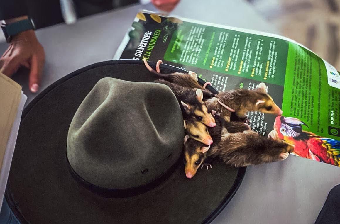 EPA Buenaventura lanza campaña para proteger la fauna y flora silvestre durante Semana Santa