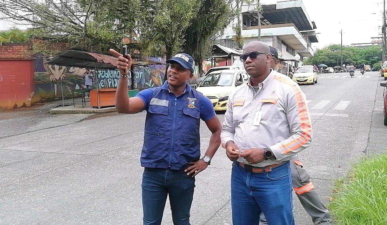 Realizan diagnóstico a los árboles ubicados en la avenida Simón Bolívar para adelantar intervenciones