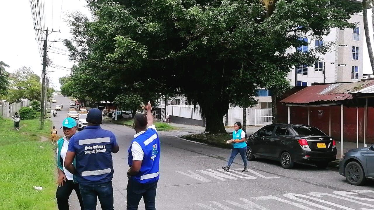 Realizan diagnóstico a los árboles ubicados en la avenida Simón Bolívar para adelantar intervenciones