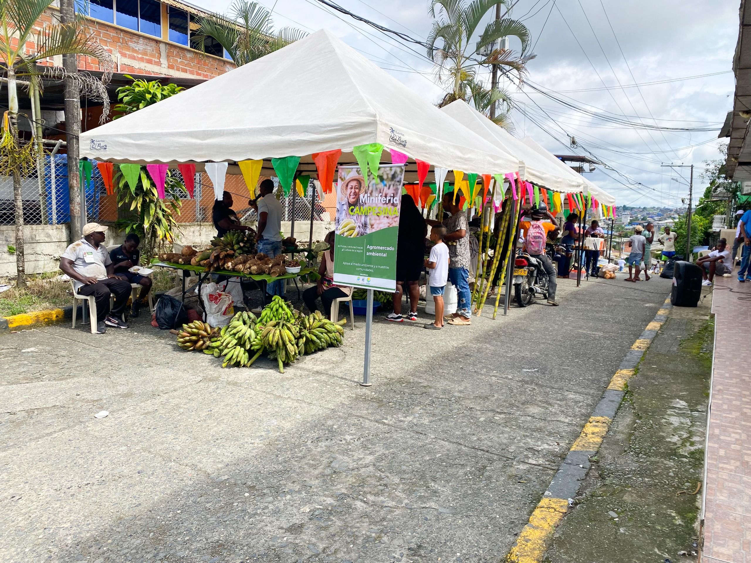 Miniferia Campesina en la Comuna 12 impulsa conciencia ambiental y consumo local en Buenaventura
