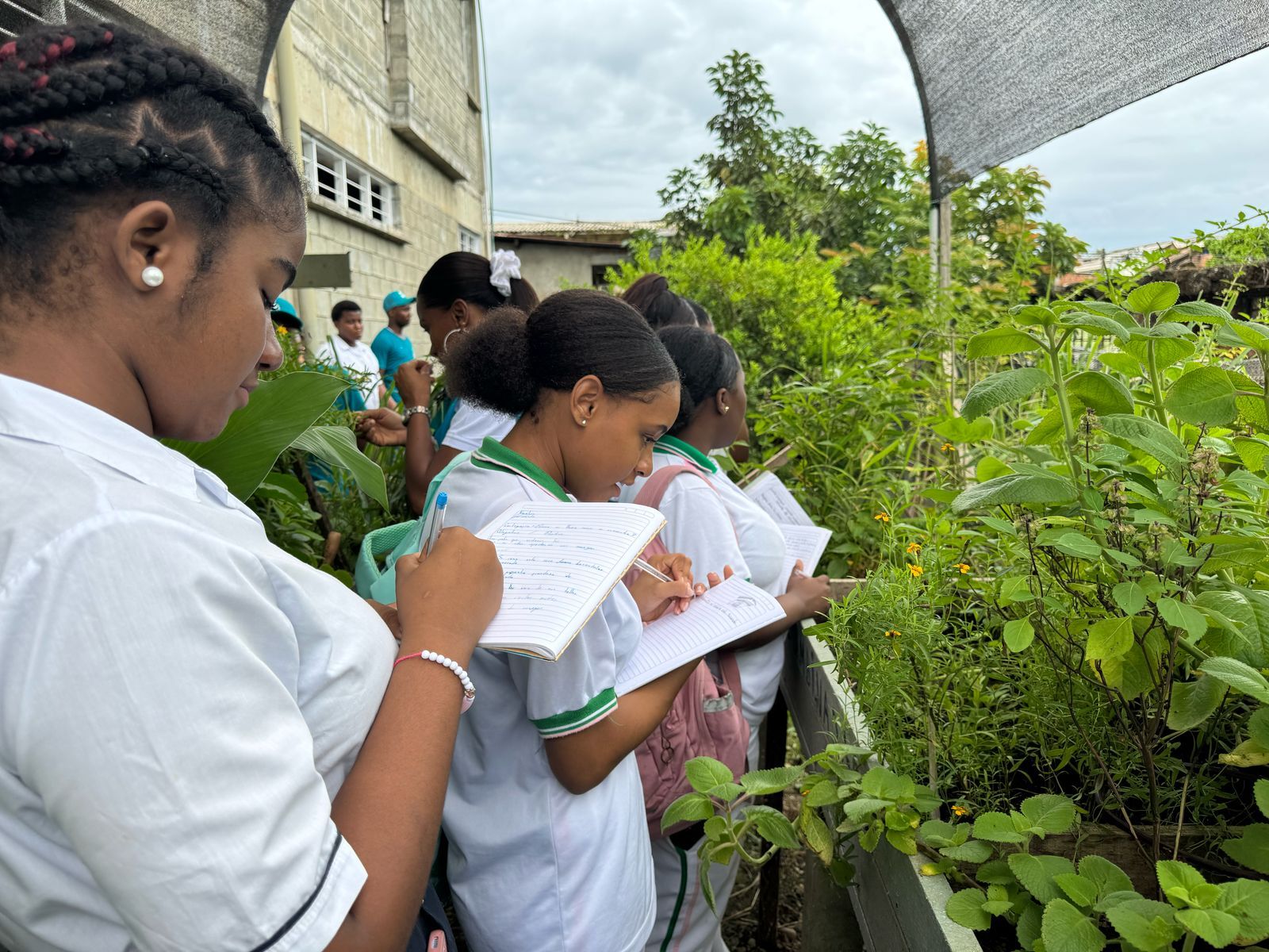 Quinientos estudiantes de Buenaventura fortalecieron la educación ambiental en sus colegios