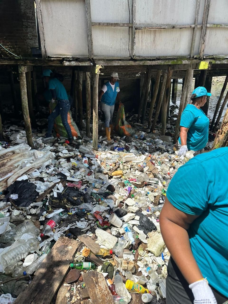 EPA alerta sobre acumulación de icopor en zonas de bajamar del Distrito