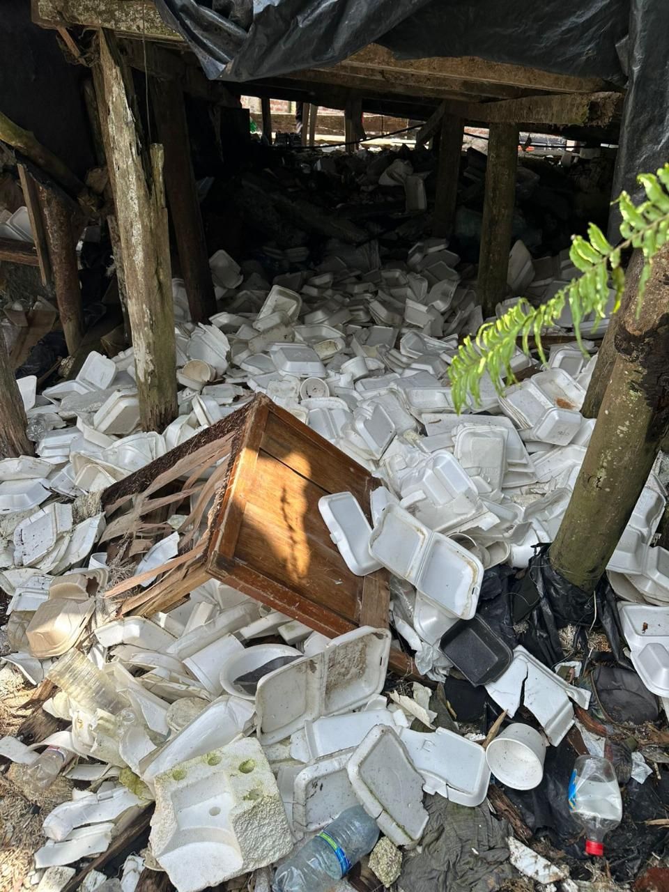 EPA alerta sobre acumulación de icopor en zonas de bajamar del Distrito