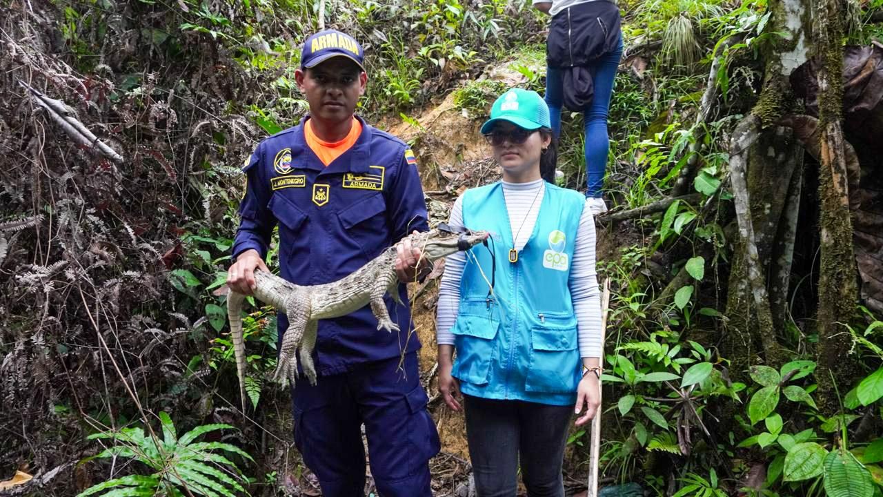 EPA Buenaventura atendió más de 120 animales silvestres y fortaleció respuesta comunitaria ante presencia de fauna en barrios del Distrito