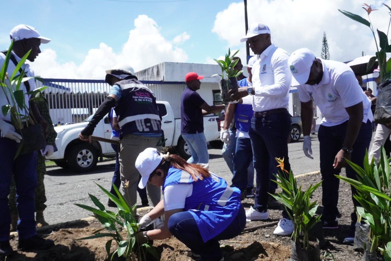 En conjunto con el EPA, la Oficina Asesora de Medio Ambienta adelanta un trabajo de reposición de especies arbóreas en la ciudad