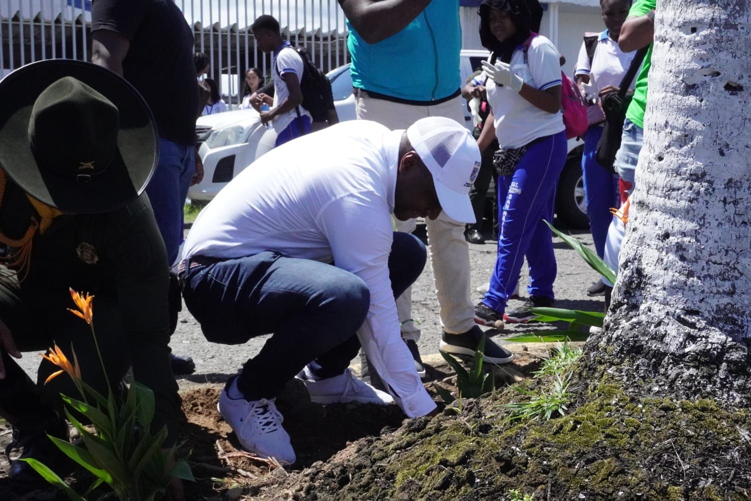 En conjunto con el EPA, la Oficina Asesora de Medio Ambienta adelanta un trabajo de reposición de especies arbóreas en la ciudad