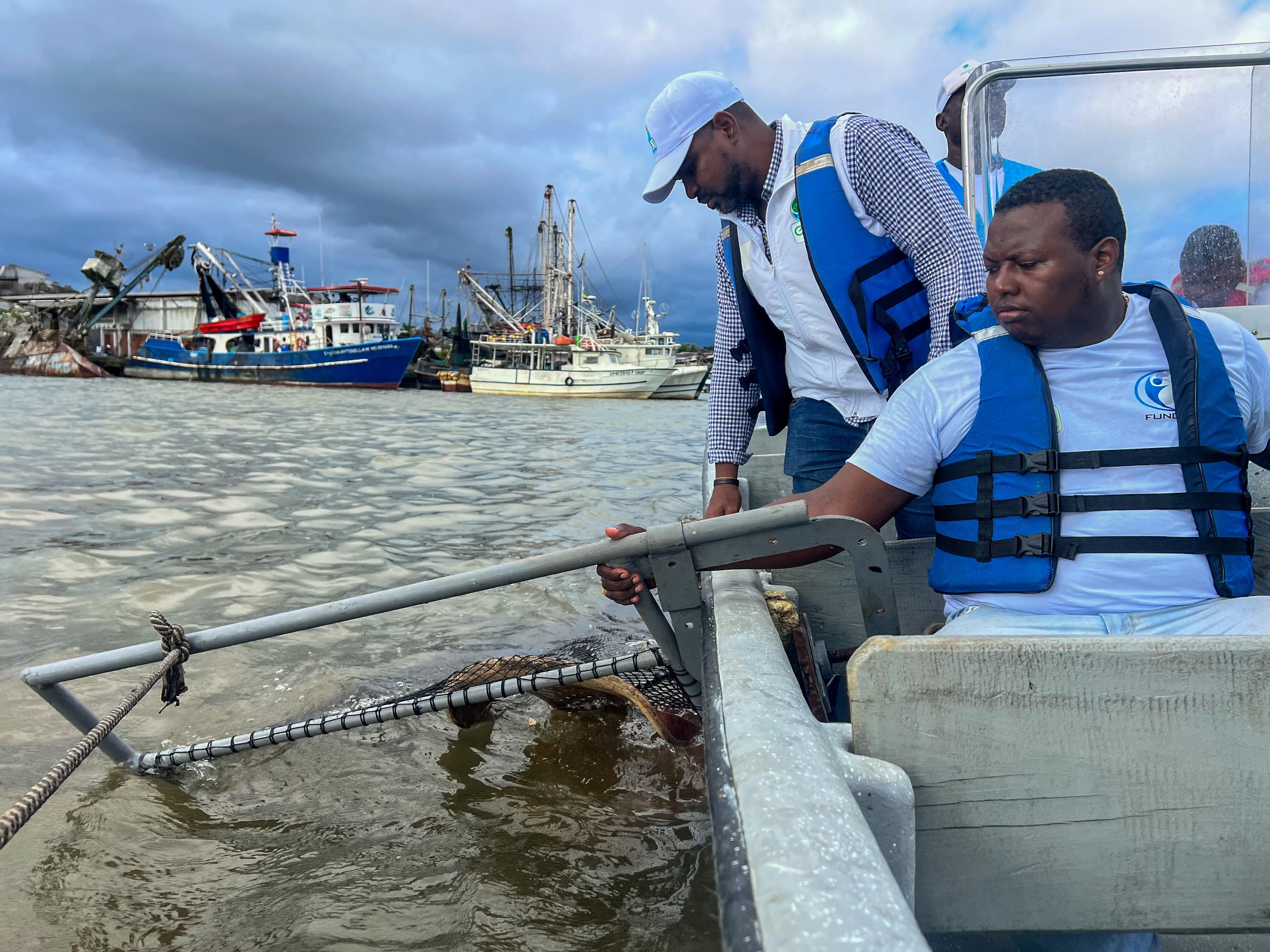 EPA Buenaventura investiga presencia de microplásticos en peces comerciales de la bahía