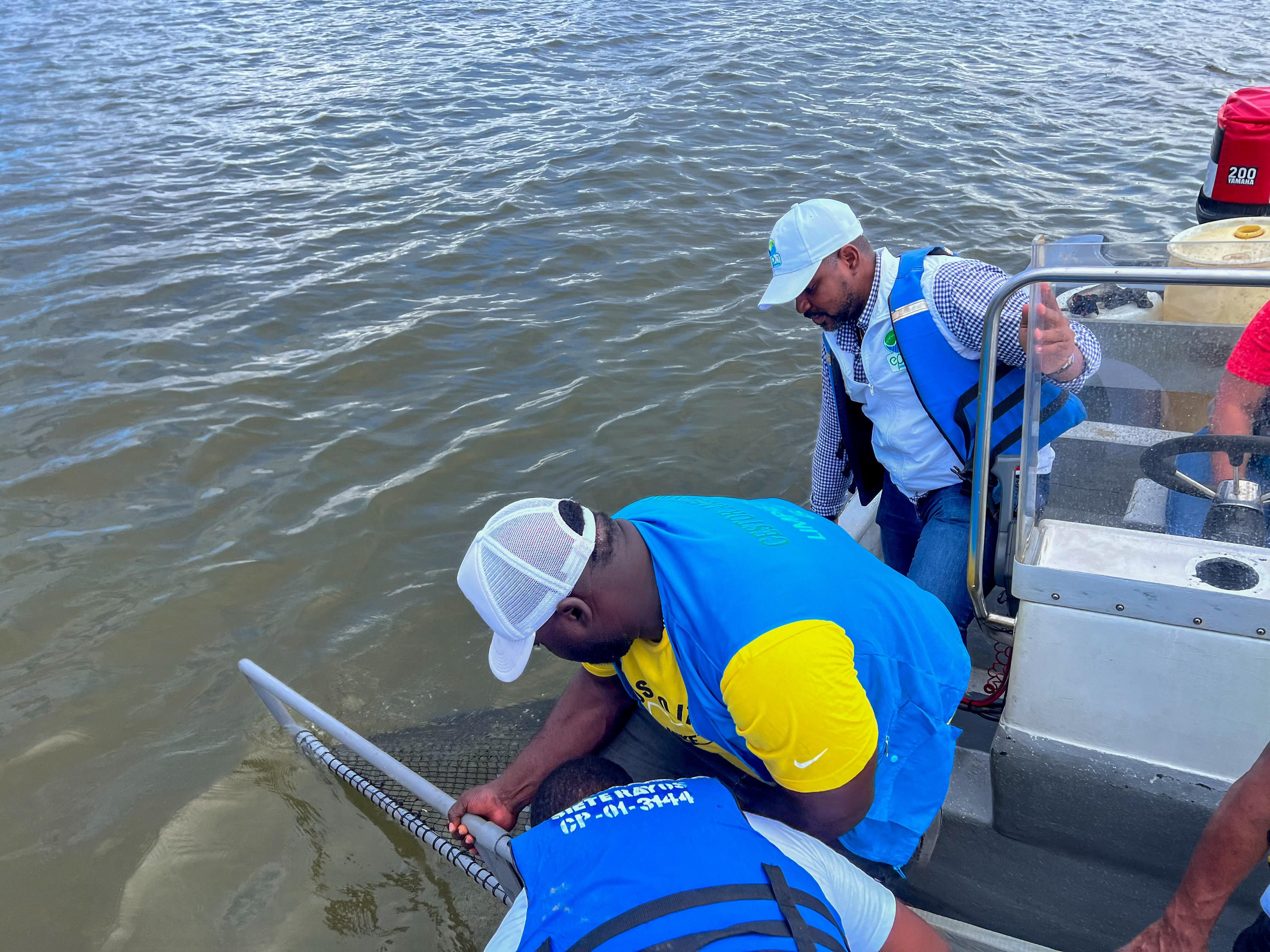 EPA Buenaventura investiga presencia de microplásticos en peces comerciales de la bahía