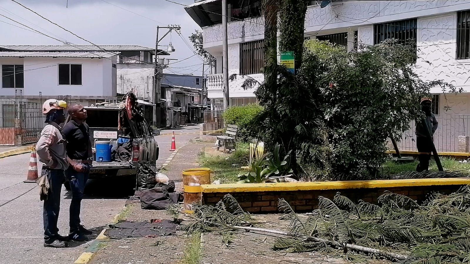 Alcaldesa Ligia del Carmen Córdoba Martínez cumple compromiso con la comunidad: talado de pino que representaba riesgo en la calle La Abeja