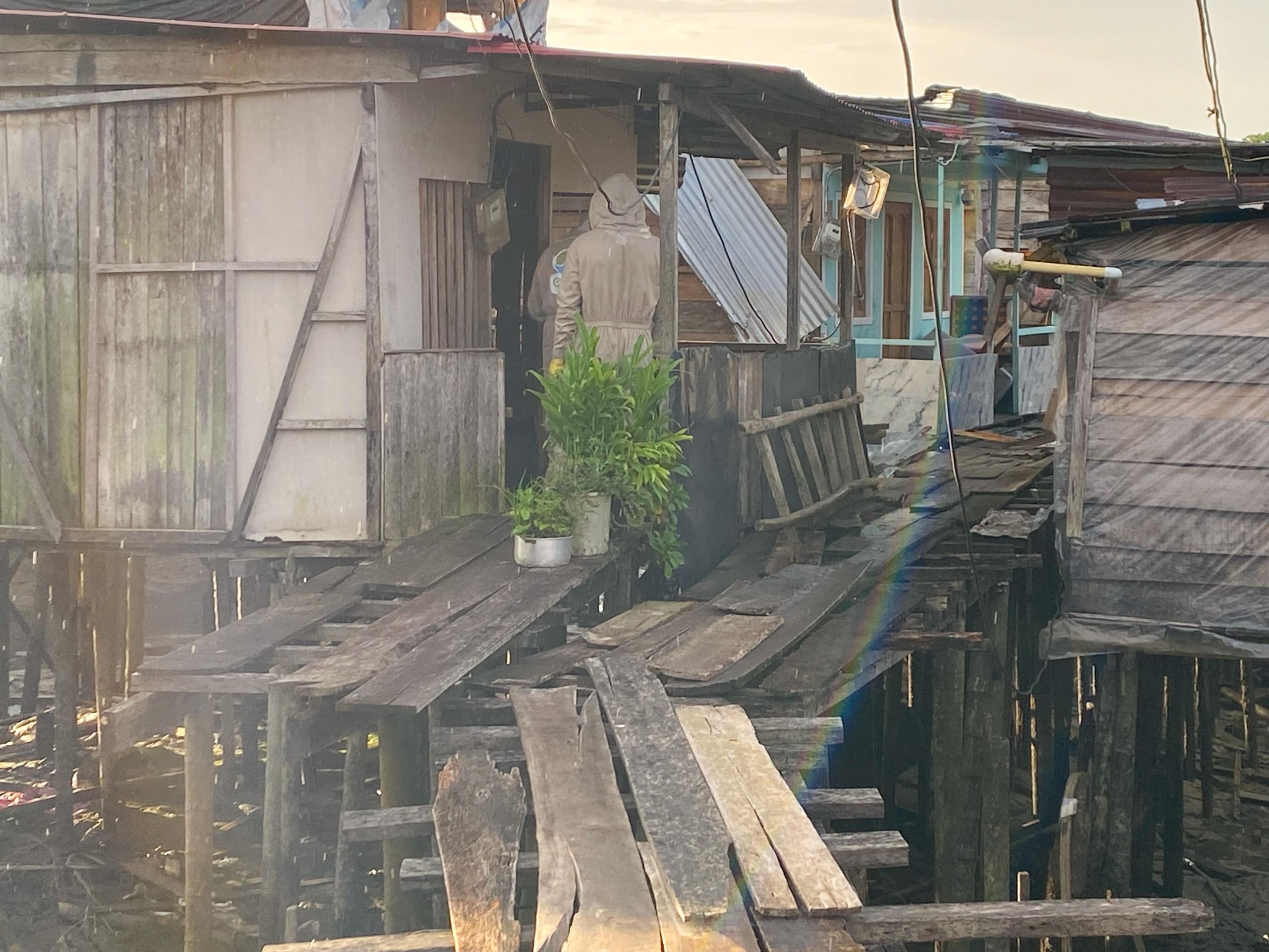 EPA Buenaventura construye y entrega apiario urbano para la protección de polinizadores
