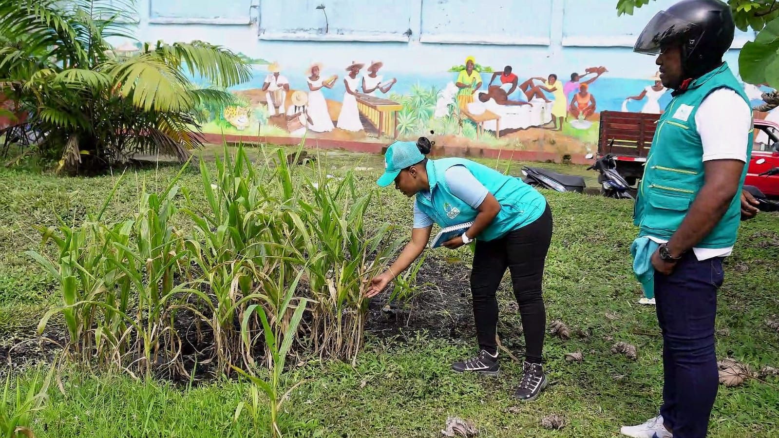 Recuperan espacios públicos y apoyan a habitantes de calle en Buenaventura