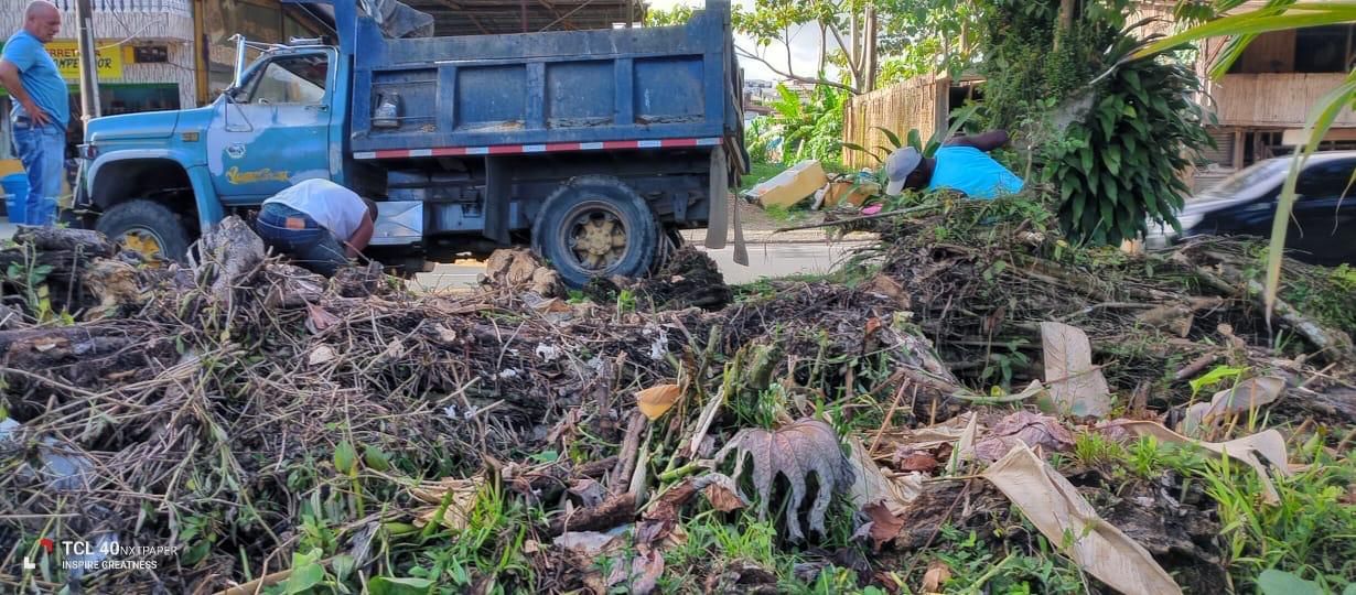 Comit&eacute; Interinstitucional inicia intervenci&oacute;n de &aacute;rboles en la v&iacute;a Sim&oacute;n Bol&iacute;var ante riesgos por temporada de lluvias