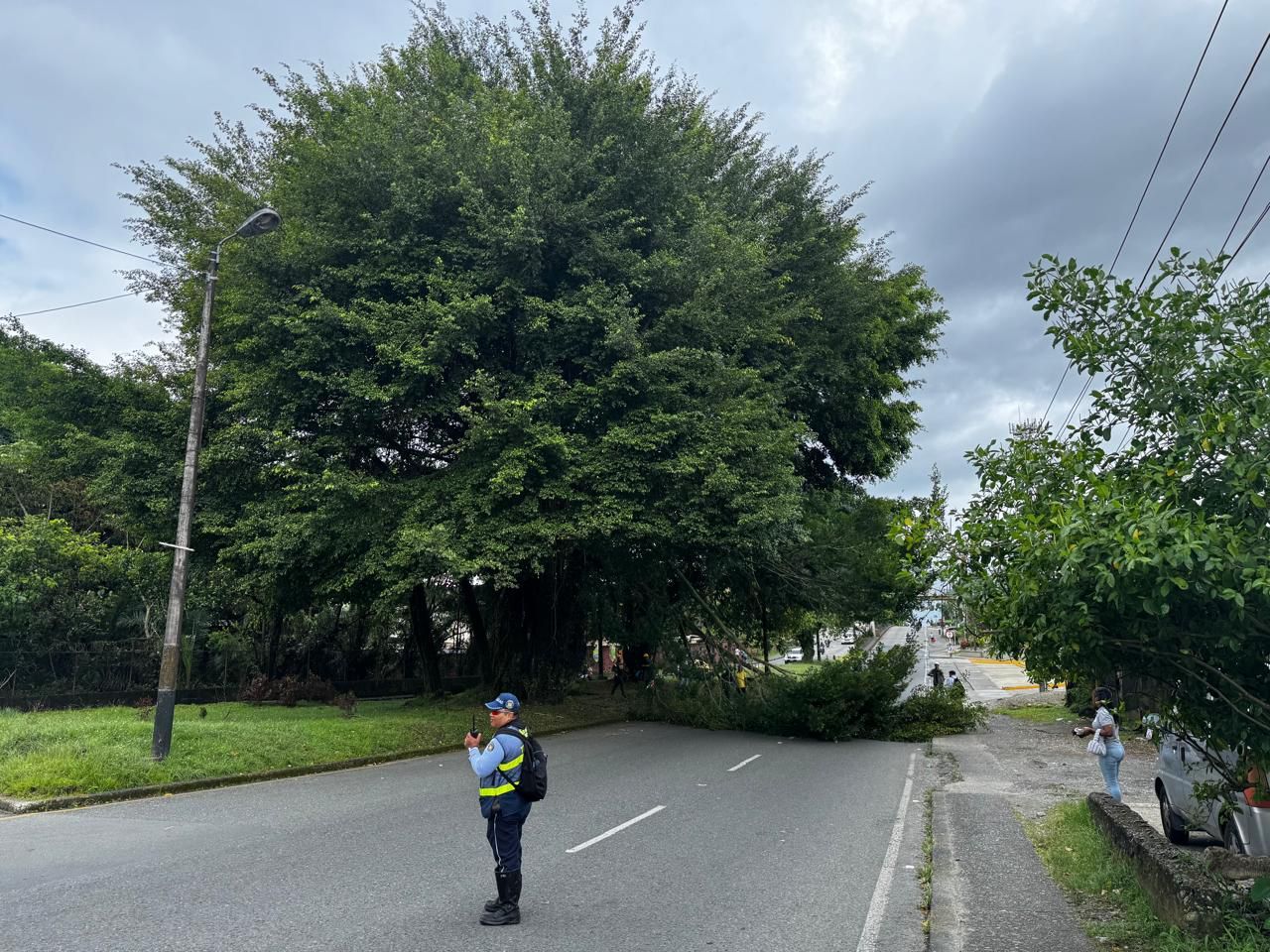 Comit&eacute; Interinstitucional inicia intervenci&oacute;n de &aacute;rboles en la v&iacute;a Sim&oacute;n Bol&iacute;var ante riesgos por temporada de lluvias