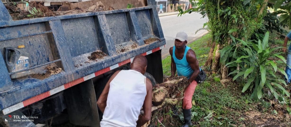 Comit&eacute; Interinstitucional inicia intervenci&oacute;n de &aacute;rboles en la v&iacute;a Sim&oacute;n Bol&iacute;var ante riesgos por temporada de lluvias