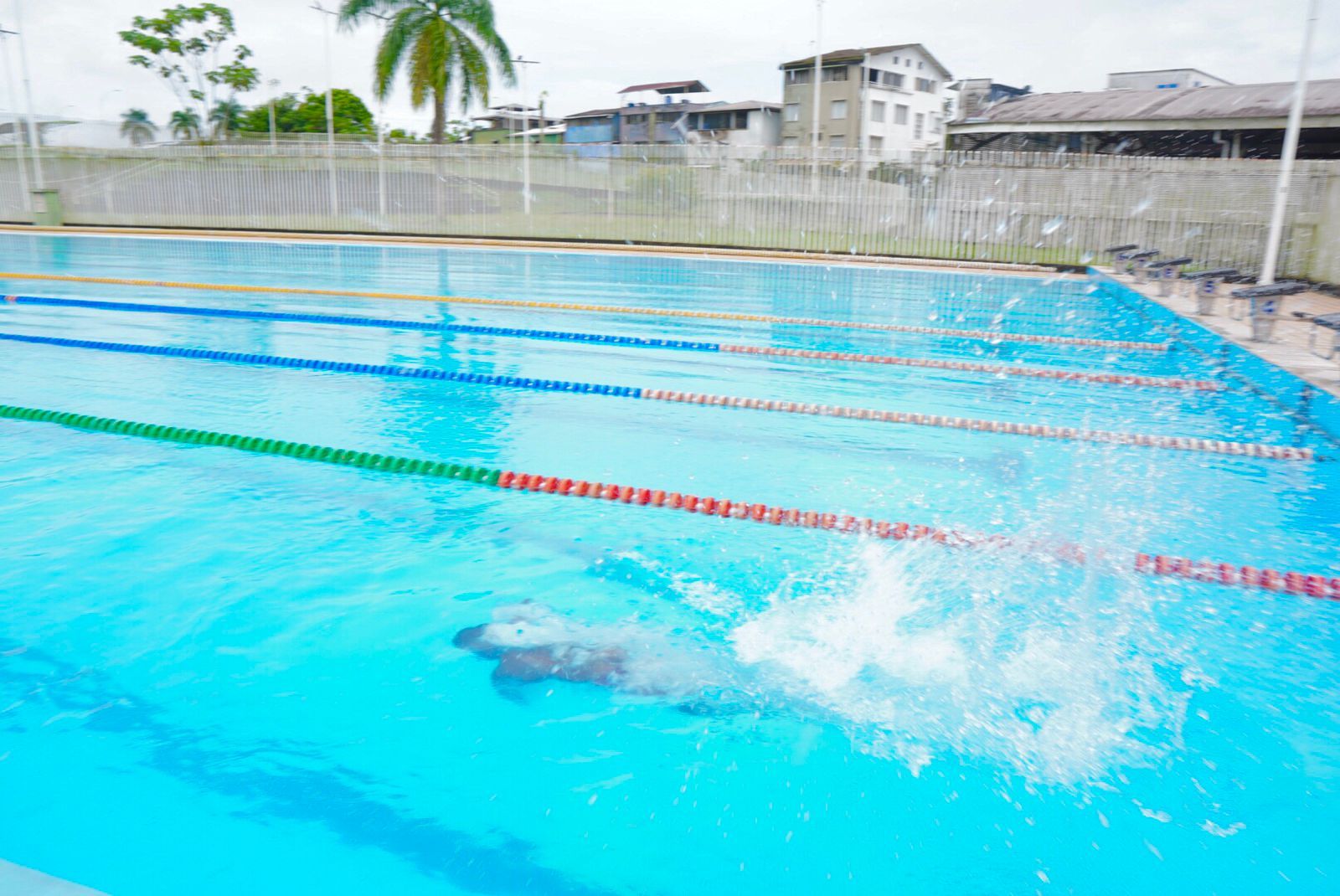 Festival de Semilleros Deportivos de natación reunió a niños y jóvenes en el Polideportivo El Cristal
