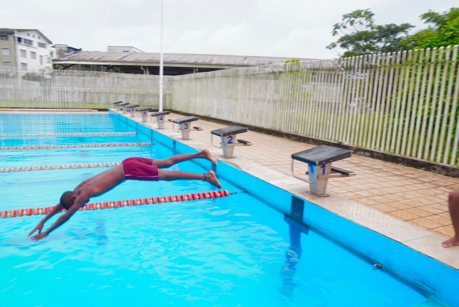 Festival de Semilleros Deportivos de natación reunió a niños y jóvenes en el Polideportivo El Cristal