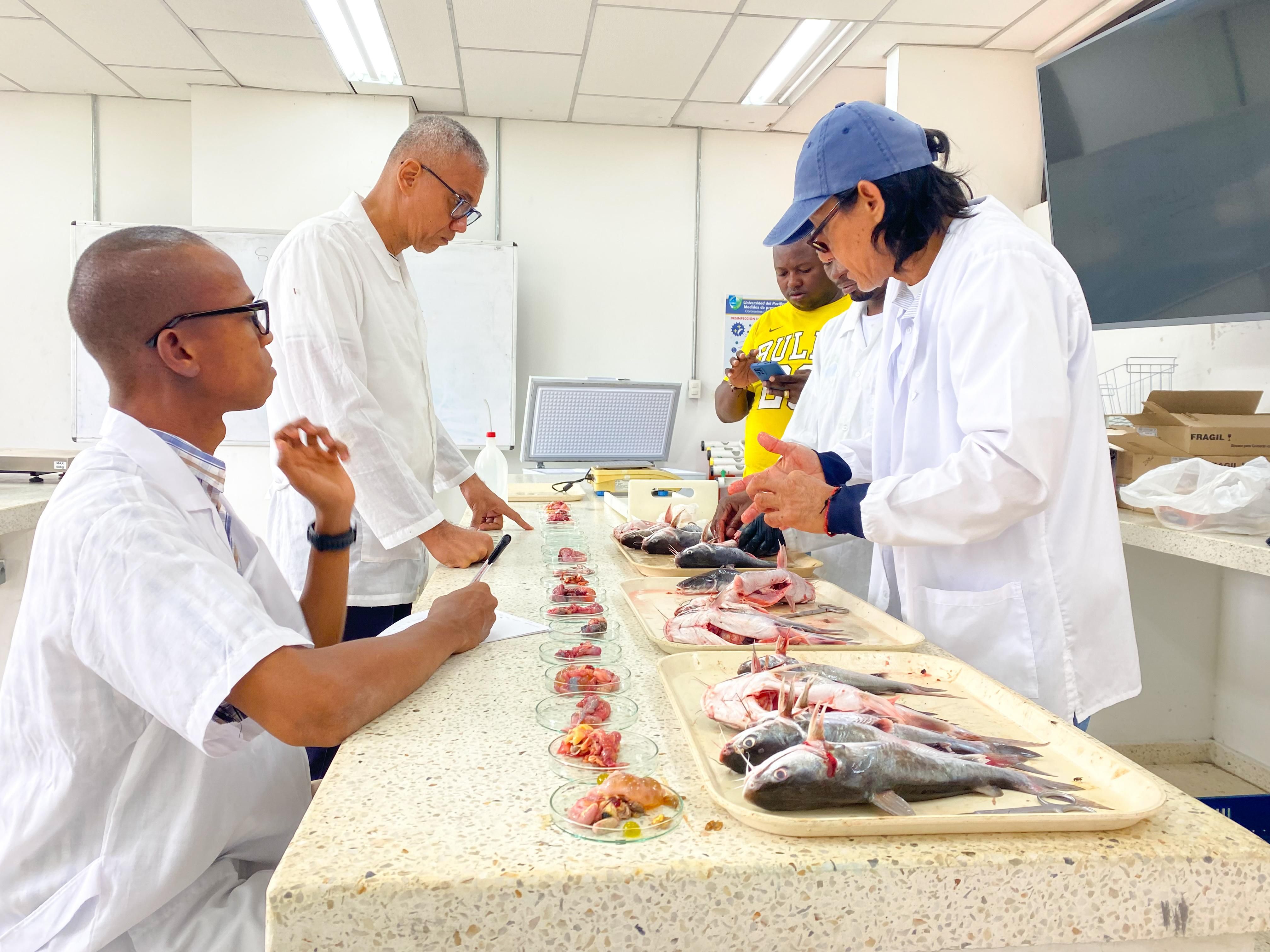 Microplásticos y residuos plásticos amenazan los ecosistemas marino-costeros de Buenaventura, revela estudio del EPA