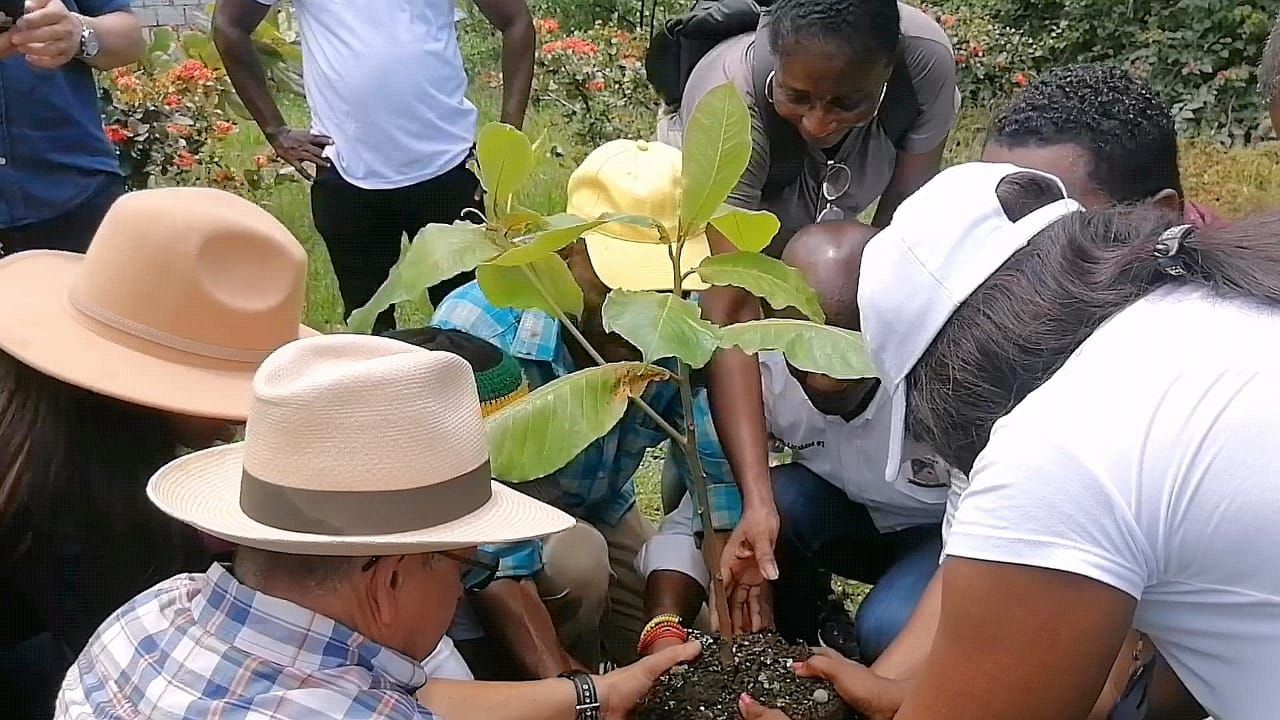 Alcaldía Distrital y comunidad de la Comuna 12 avanzan en diagnóstico para la construcción de los Ecos Barrios de Paz