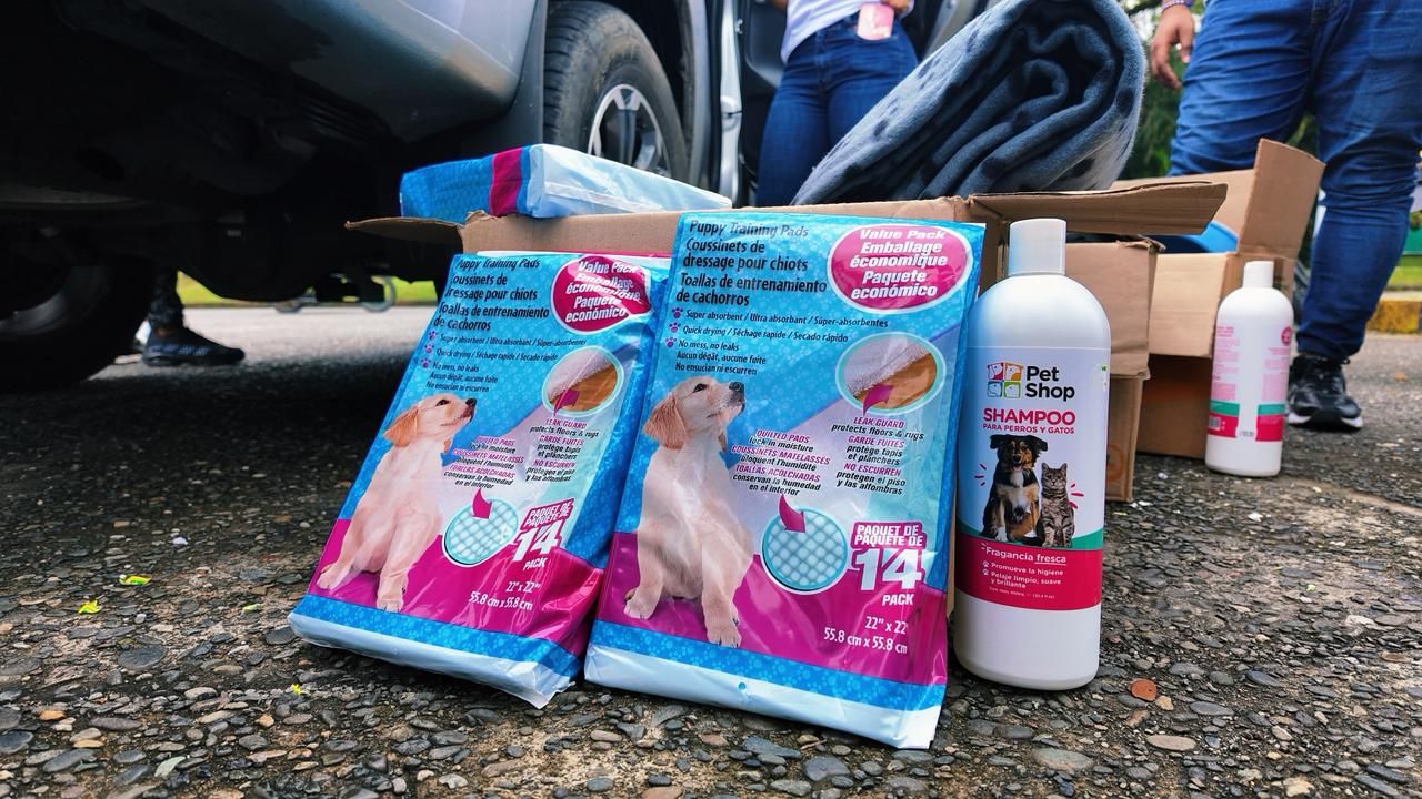 Administraci&oacute;n Distrital refuerza la protecci&oacute;n animal con recorrido a albergues y entrega de ayudas