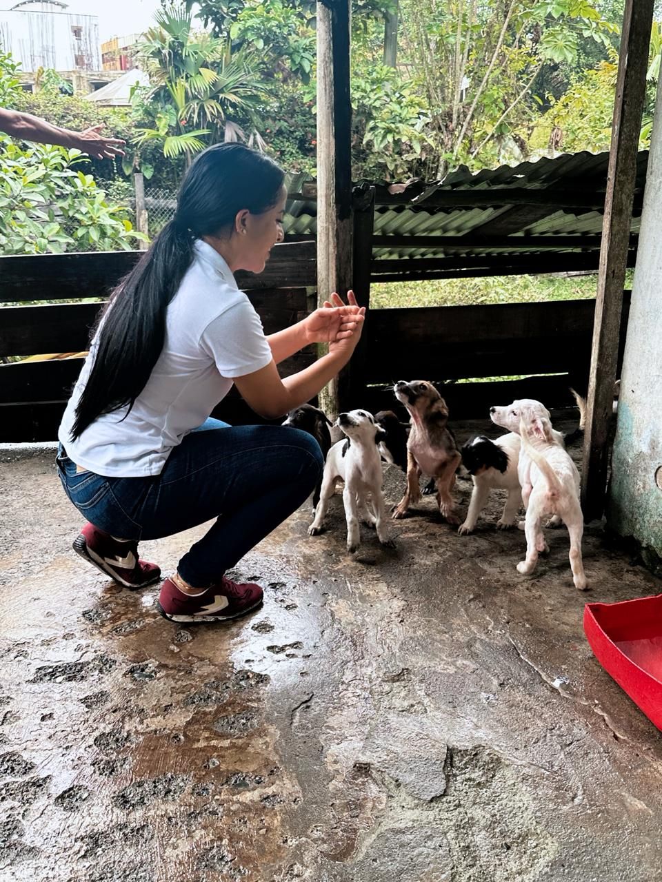 Administraci&oacute;n Distrital refuerza la protecci&oacute;n animal con recorrido a albergues y entrega de ayudas