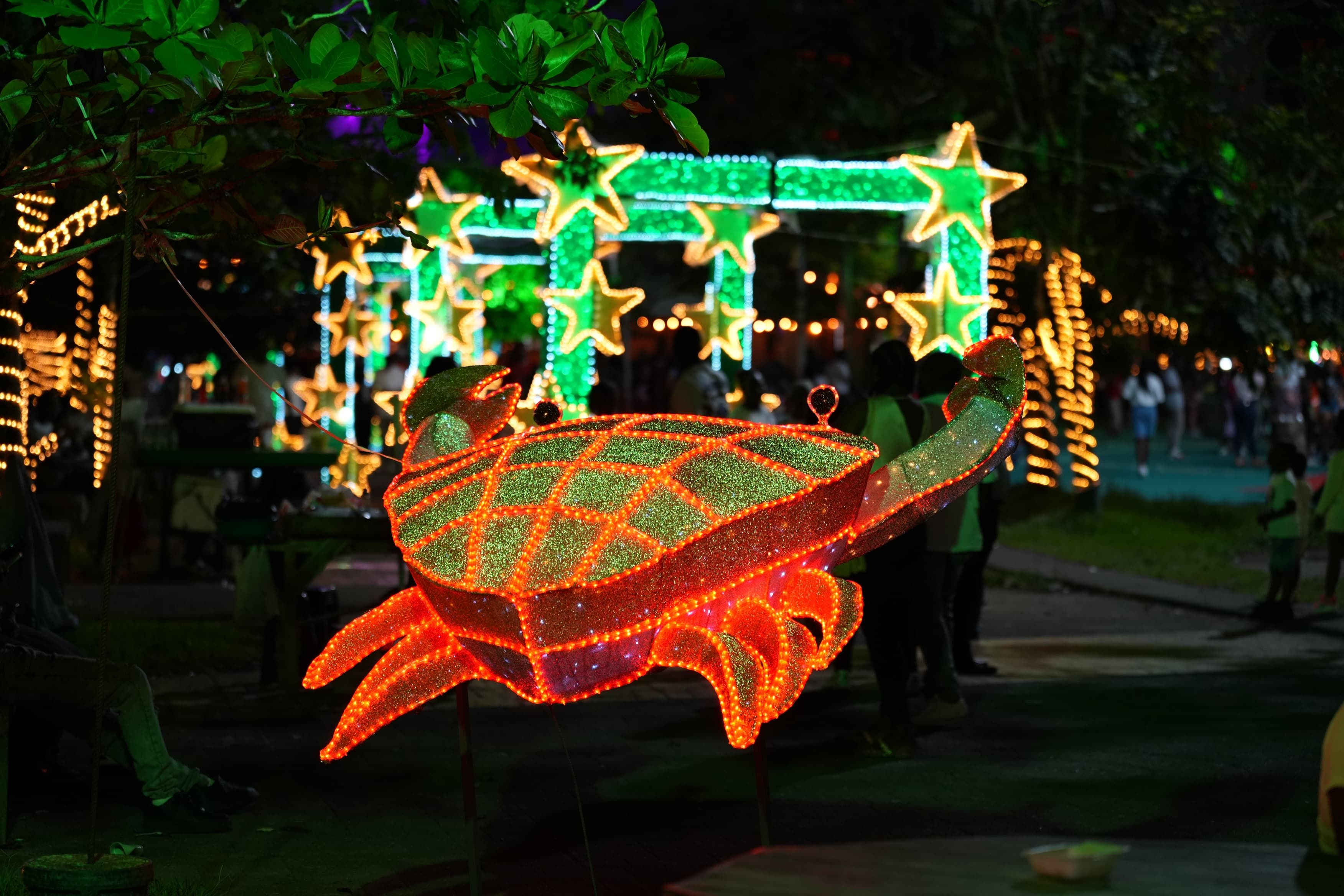 Alumbrado navide&ntilde;o impulsa la econom&iacute;a y fortalece el comercio local en Buenaventura