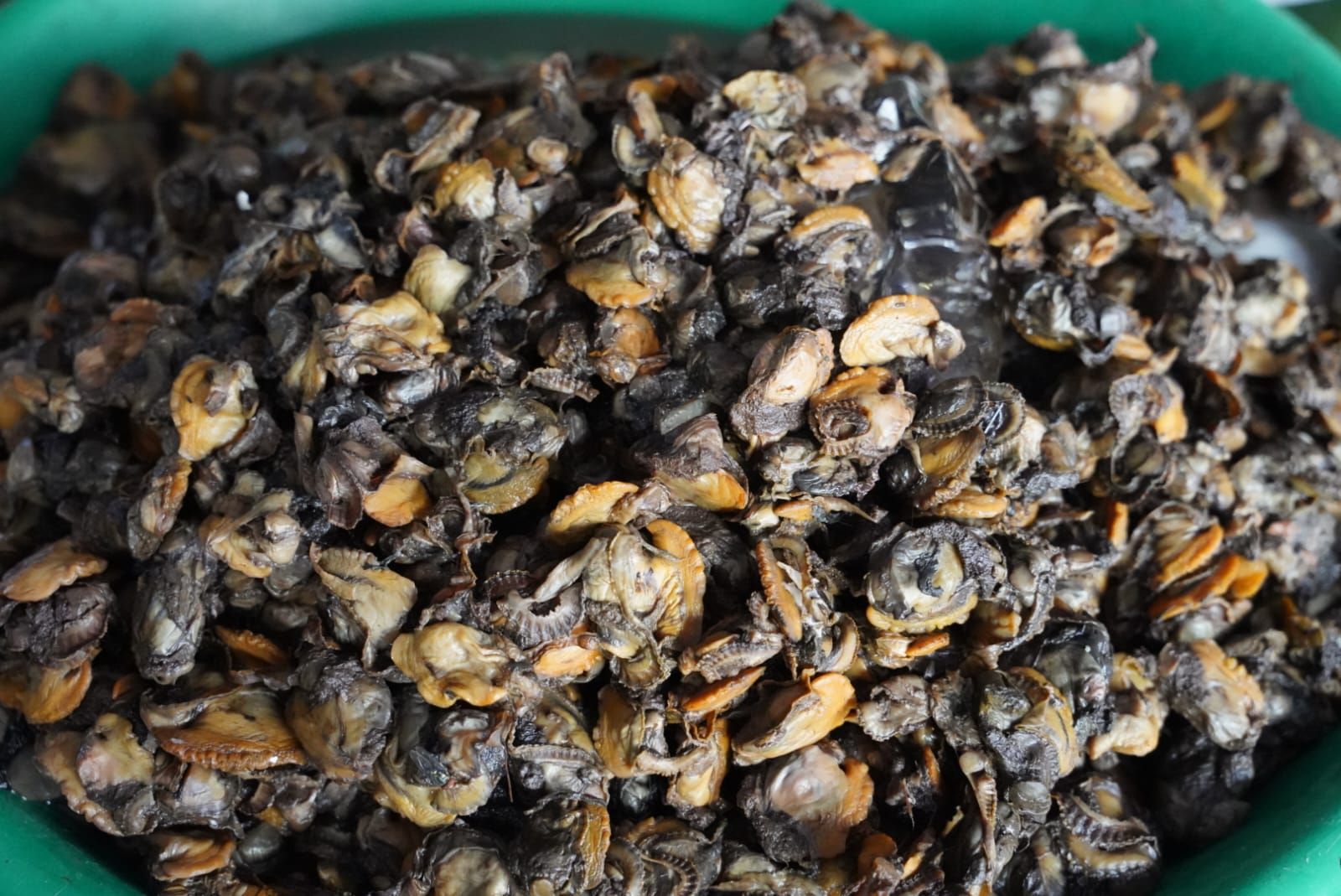 Alcald&iacute;a Distrital y Secretar&iacute;a de Turismo destacan positivo balance durante puente festivo