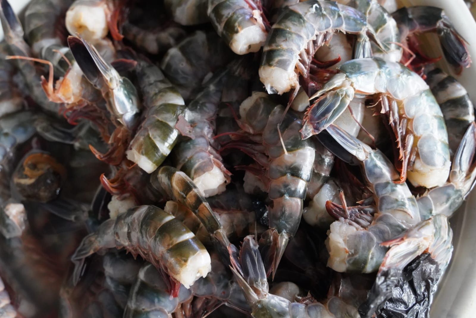 Alcald&iacute;a Distrital y Secretar&iacute;a de Turismo destacan positivo balance durante puente festivo