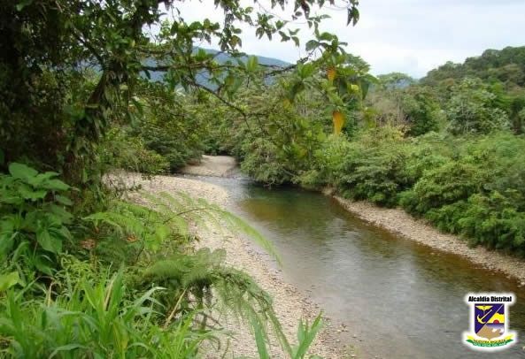 La Agencia Nacional de Infraestructura presentÃ³ tres proyectos para que San Cipriano tenga nueva vÃ­a de acceso
