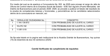 Resultado pruebas sobre competencias b&aacute;sica y funcionales, pruebas psicom&eacute;tricas convocatoria control interno de la Empresa Social del Estado ESE San Agust&iacute;n (Puerto Merizalde)