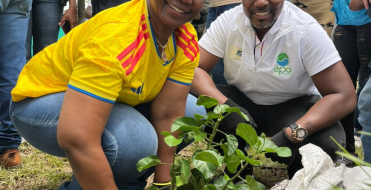 Buenaventura fortalece sus espacios verdes con jornada de siembra de &aacute;rboles   